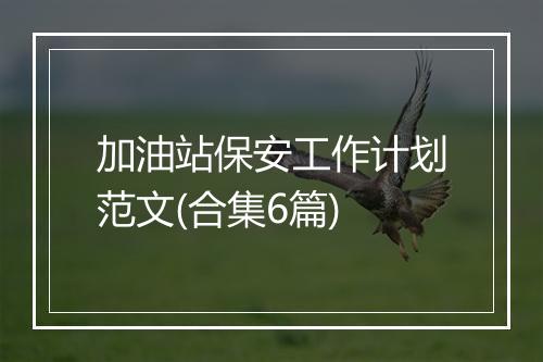 加油站保安工作计划范文(合集6篇)