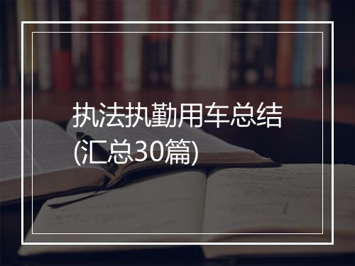 执法执勤用车总结(汇总30篇)