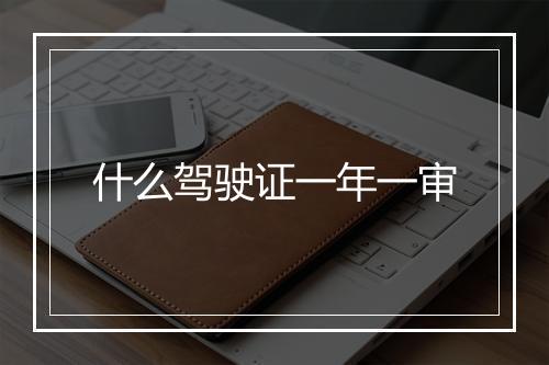 什么驾驶证一年一审