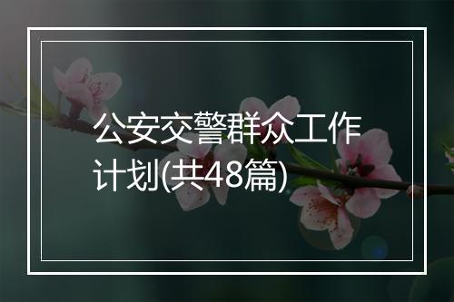 公安交警群众工作计划(共48篇)