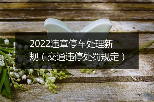 2022违章停车处理新规（交通违停处罚规定）
