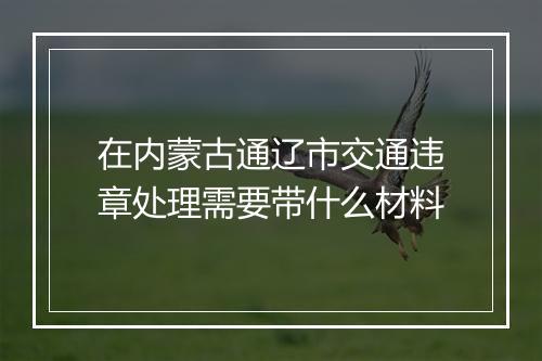 在内蒙古通辽市交通违章处理需要带什么材料