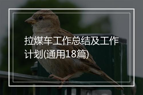 拉煤车工作总结及工作计划(通用18篇)