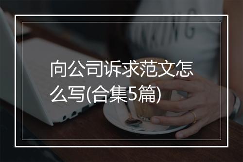 向公司诉求范文怎么写(合集5篇)