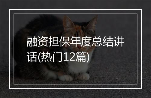 融资担保年度总结讲话(热门12篇)