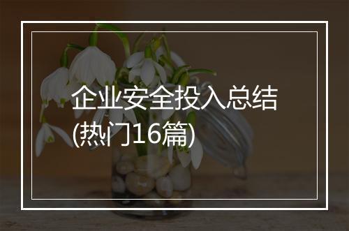 企业安全投入总结(热门16篇)