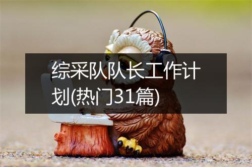 综采队队长工作计划(热门31篇)