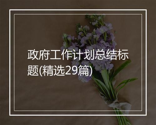 政府工作计划总结标题(精选29篇)
