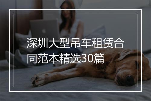 深圳大型吊车租赁合同范本精选30篇