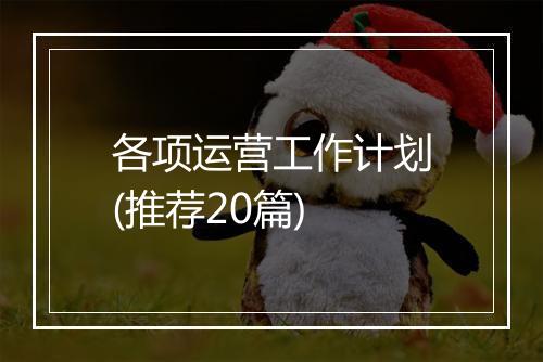 各项运营工作计划(推荐20篇)