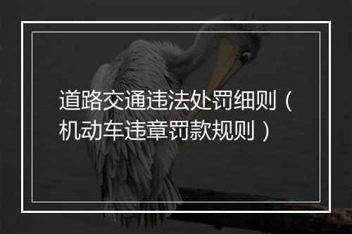 道路交通违法处罚细则（机动车违章罚款规则）