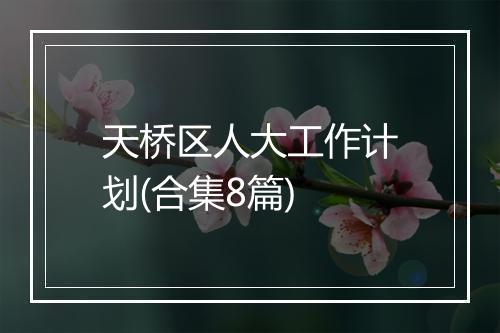 天桥区人大工作计划(合集8篇)