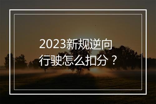 2023新规逆向行驶怎么扣分？
