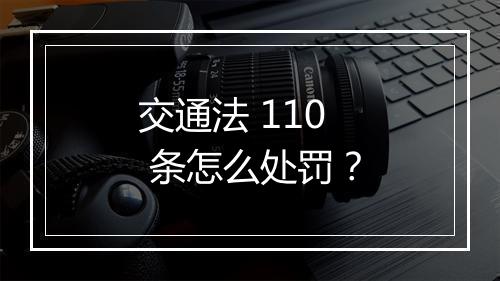 交通法 110 条怎么处罚？