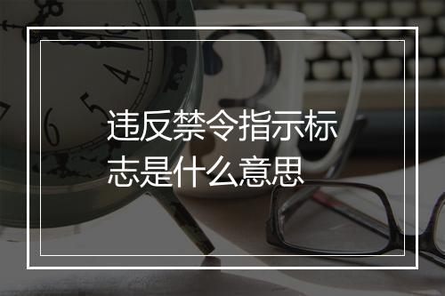 违反禁令指示标志是什么意思