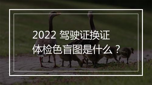2022 驾驶证换证体检色盲图是什么？