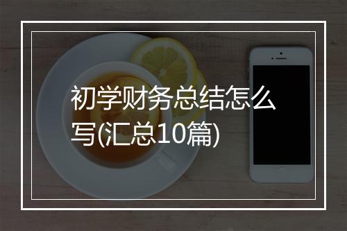 初学财务总结怎么写(汇总10篇)