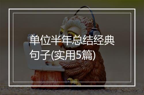 单位半年总结经典句子(实用5篇)