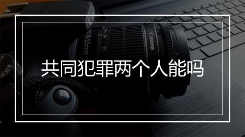 共同犯罪两个人能吗