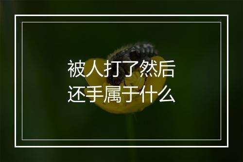 被人打了然后还手属于什么