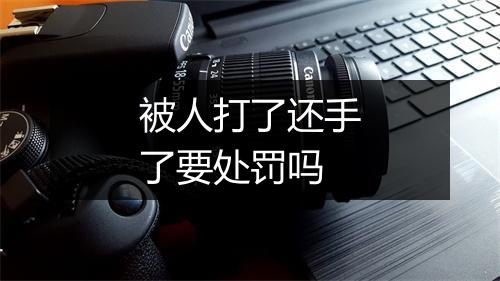 被人打了还手了要处罚吗