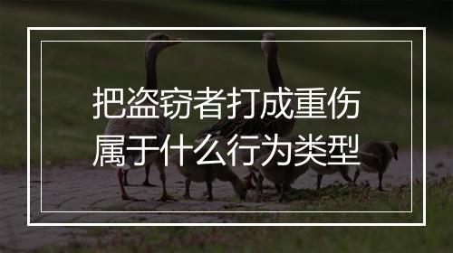 把盗窃者打成重伤属于什么行为类型