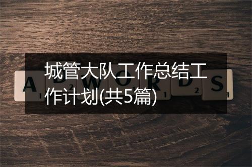 城管大队工作总结工作计划(共5篇)