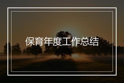 保育年度工作总结