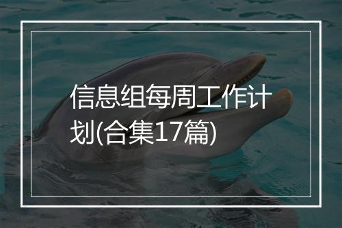 信息组每周工作计划(合集17篇)