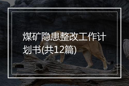 煤矿隐患整改工作计划书(共12篇)