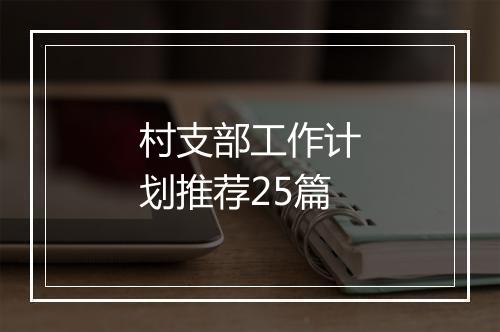 村支部工作计划推荐25篇