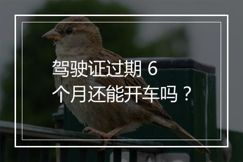 驾驶证过期 6 个月还能开车吗？