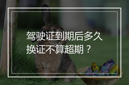 驾驶证到期后多久换证不算超期？