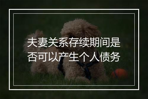 夫妻关系存续期间是否可以产生个人债务