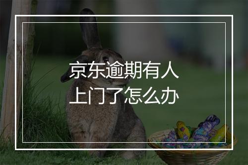 京东逾期有人上门了怎么办