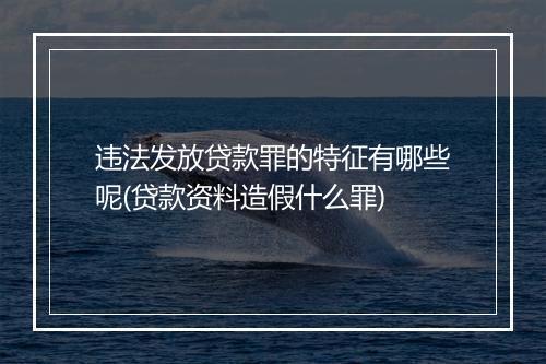 违法发放贷款罪的特征有哪些呢(贷款资料造假什么罪)