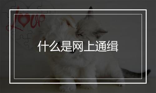 什么是网上通缉