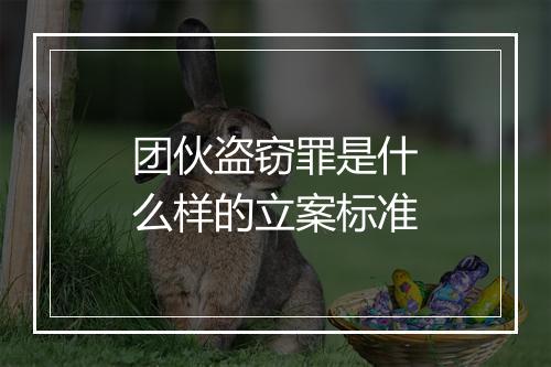 团伙盗窃罪是什么样的立案标准