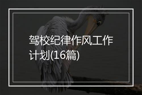 驾校纪律作风工作计划(16篇)