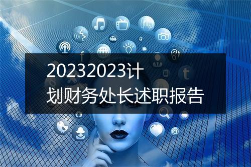 20232023计划财务处长述职报告