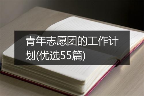 青年志愿团的工作计划(优选55篇)