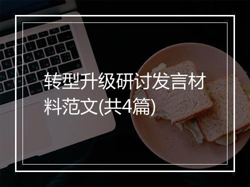 转型升级研讨发言材料范文(共4篇)