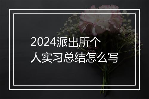 2024派出所个人实习总结怎么写