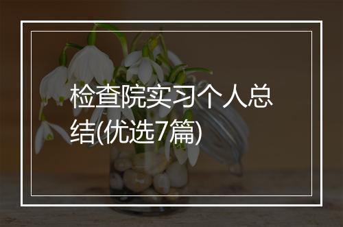 检查院实习个人总结(优选7篇)