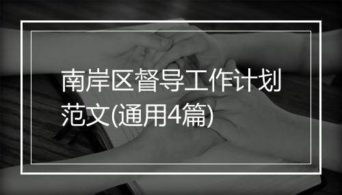 南岸区督导工作计划范文(通用4篇)