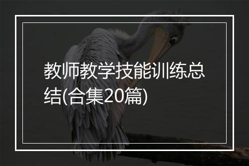 教师教学技能训练总结(合集20篇)
