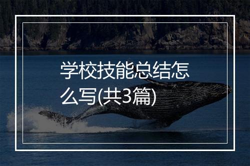 学校技能总结怎么写(共3篇)