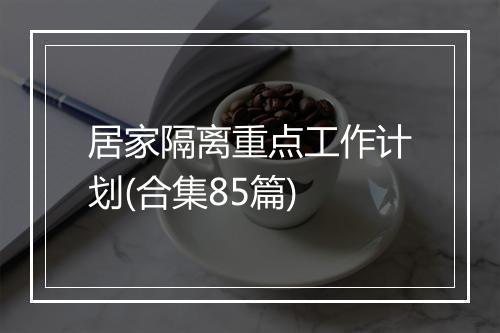 居家隔离重点工作计划(合集85篇)