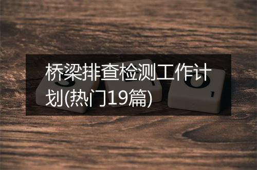 桥梁排查检测工作计划(热门19篇)
