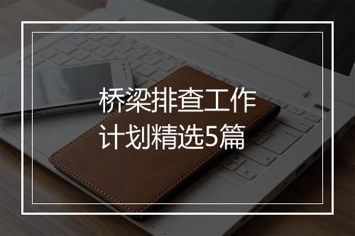 桥梁排查工作计划精选5篇